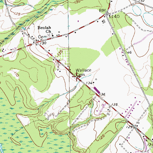 Topographic Map of Wallace Cemetery, SC