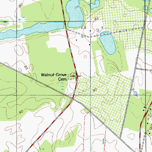 Topographic Map of Walnut Grove Cemetery, SC