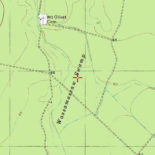 Topographic Map of Wassamassaw Swamp, SC