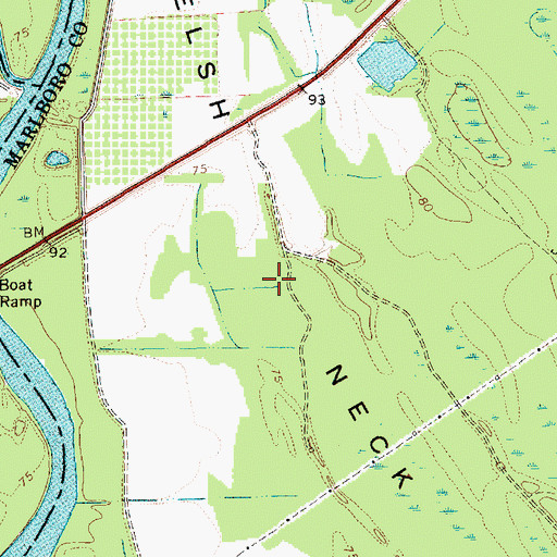 Topographic Map of Welsh Neck, SC