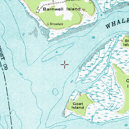 Topographic Map of Whale Branch, SC