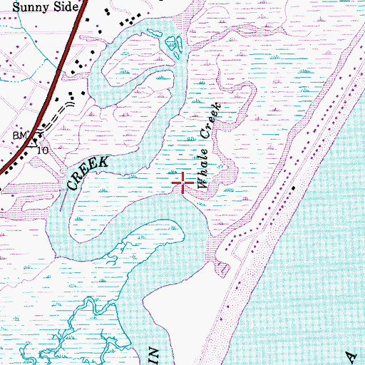 Topographic Map of Whale Creek, SC