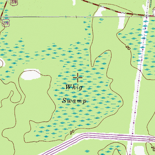 Topographic Map of Whig Swamp, SC