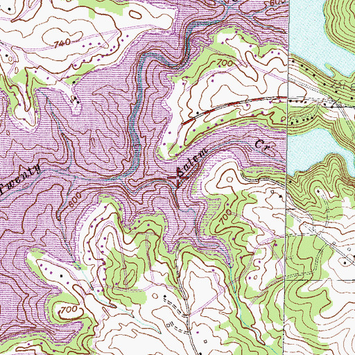 Topographic Map of White City Park, SC