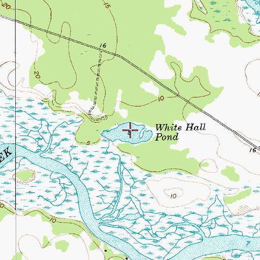 Topographic Map of White Hall Pond, SC