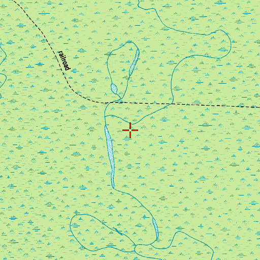 Topographic Map of White Marsh Swamp, SC