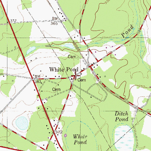 Topographic Map of White Pond, SC