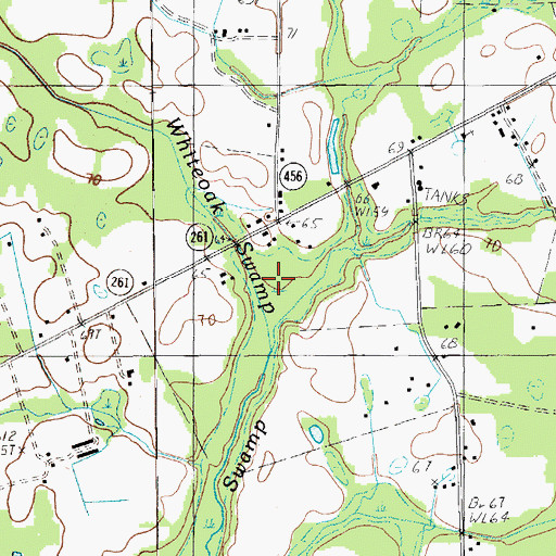Topographic Map of Whiteoak Swamp, SC