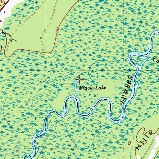 Topographic Map of Widow Lake, SC