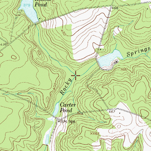 Topographic Map of Wildcat Branch, SC