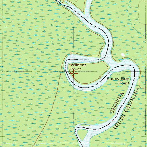 Topographic Map of Wildcat Point, SC