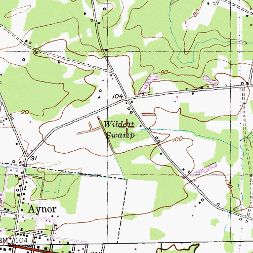 Topographic Map of Wildcat Swamp, SC