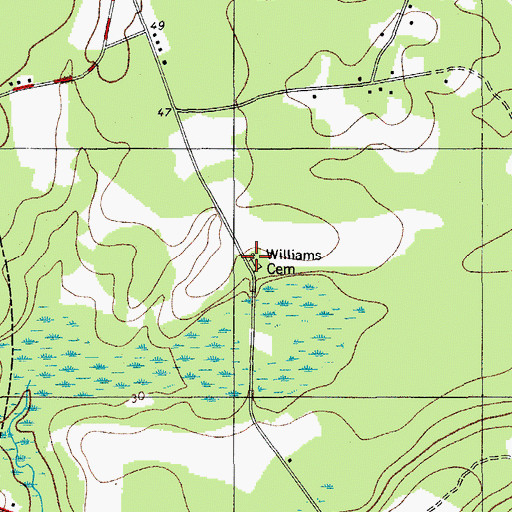 Topographic Map of Williams Cemetery, SC