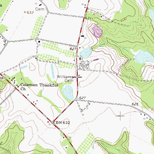 Topographic Map of Williams Cemetery, SC