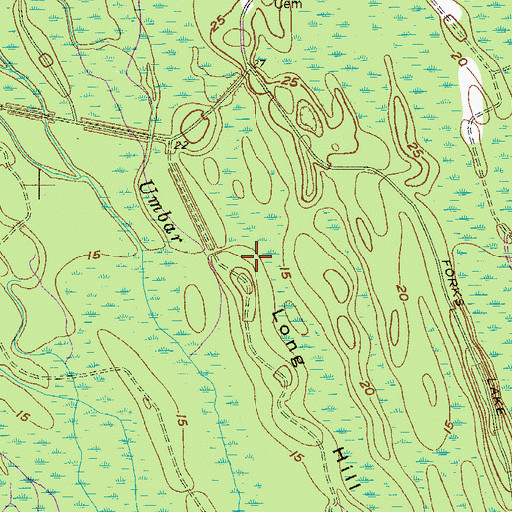 Topographic Map of Willow Swamp, SC