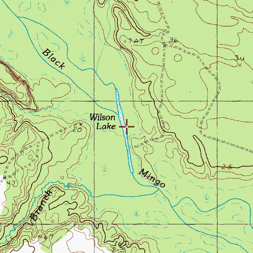 Topographic Map of Wilson Lake, SC