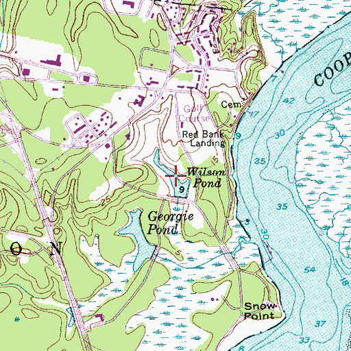 Topographic Map of Wilson Pond, SC