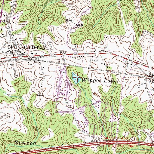 Topographic Map of Wingos Lake, SC