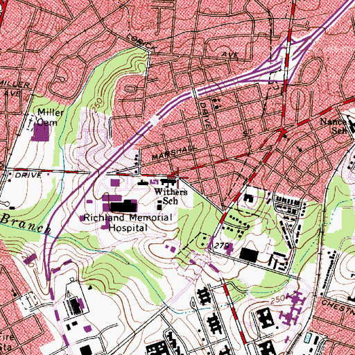 Topographic Map of Withers School, SC