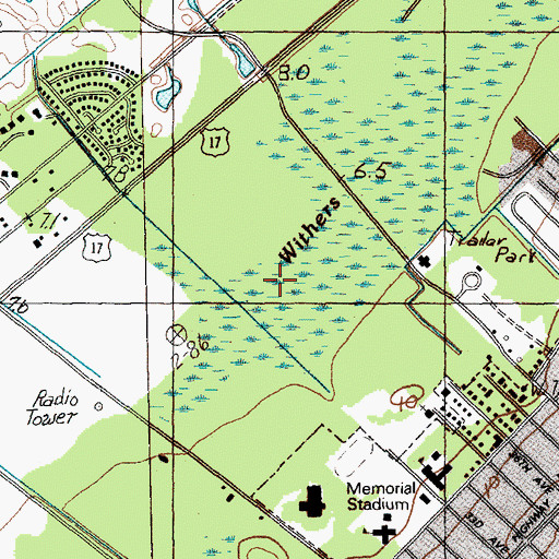 Topographic Map of Withers Swamp, SC