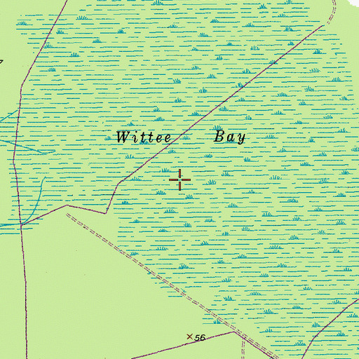 Topographic Map of Wittee Bay, SC