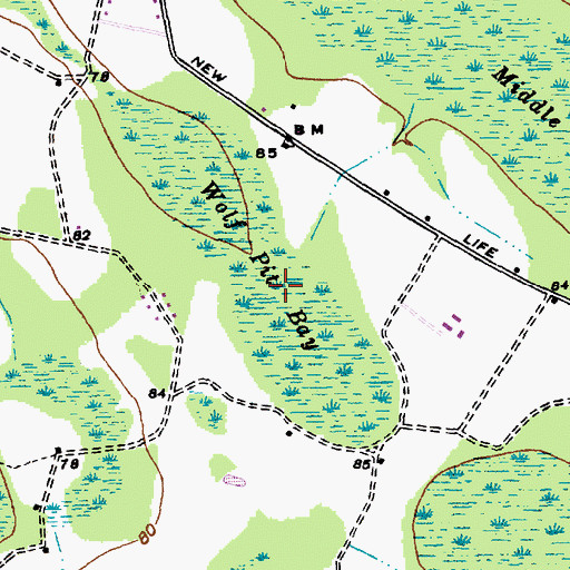 Topographic Map of Wolf Pit Bay, SC