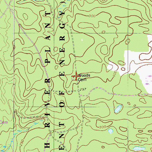 Topographic Map of Woods Cemetery, SC