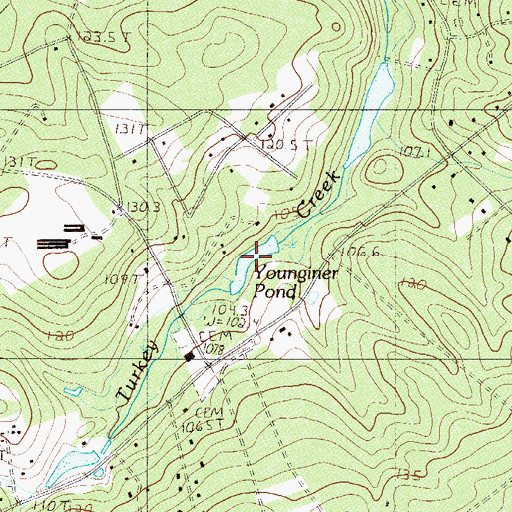 Topographic Map of Younginer Pond, SC