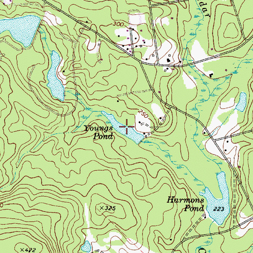 Topographic Map of Youngs Pond, SC