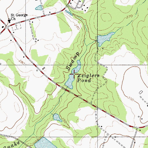 Topographic Map of Zeiglers Pond, SC