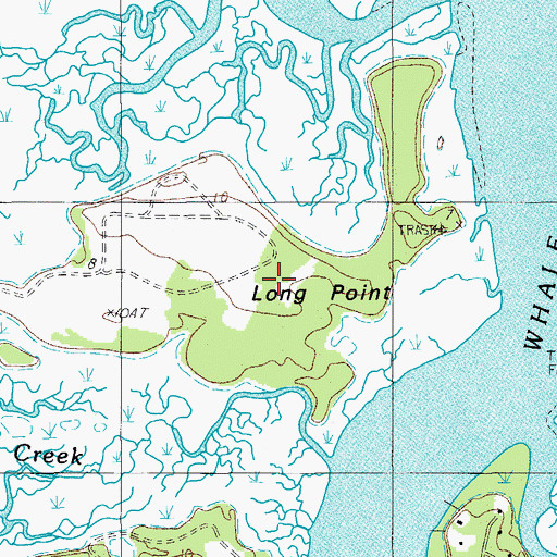 Topographic Map of Long Point, SC