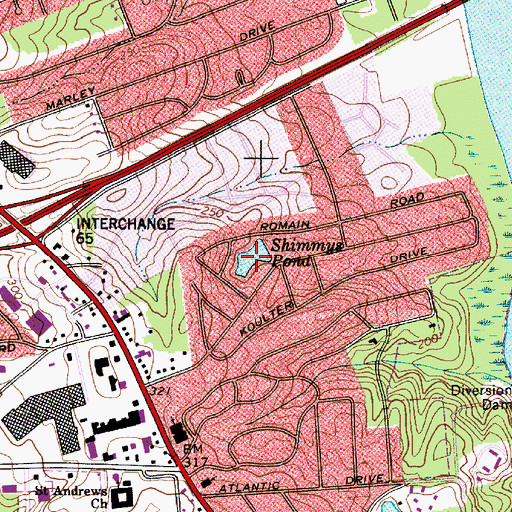 Topographic Map of Shimmys Pond, SC