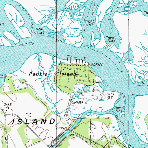 Topographic Map of Paukie Island, SC
