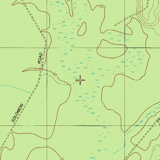Topographic Map of Haskell Barony Swamp, SC