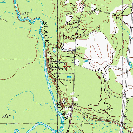 Topographic Map of Rock Bluff, SC