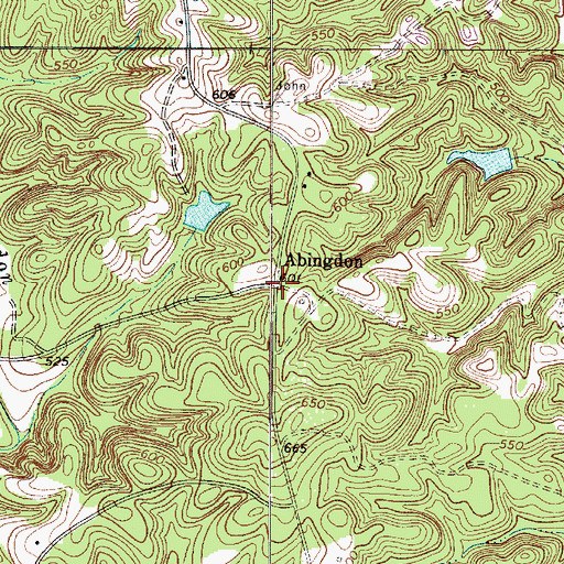 Topographic Map of Abingdon, SC