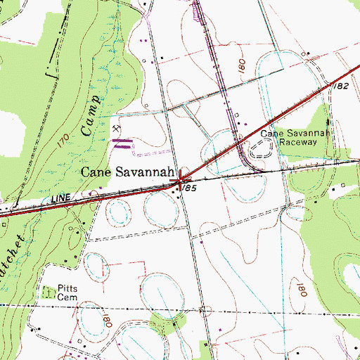 Topographic Map of Cane Savannah, SC