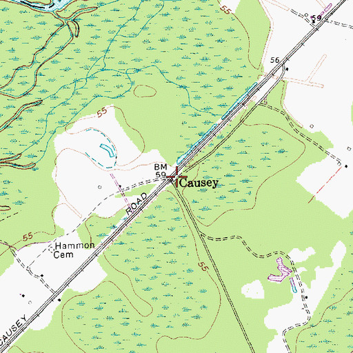 Topographic Map of Causey, SC