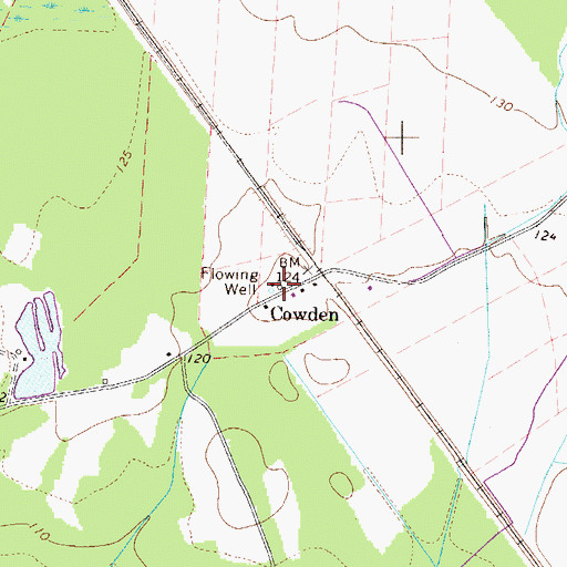 Topographic Map of Cowden, SC