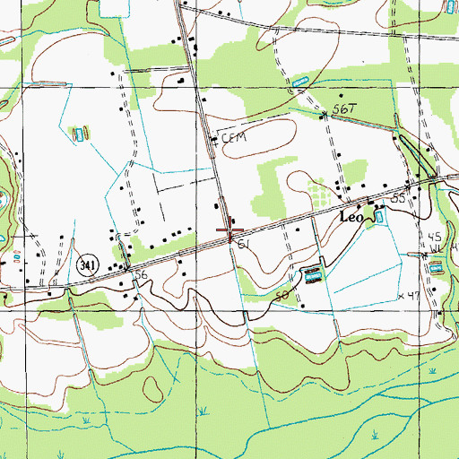Topographic Map of Leo, SC