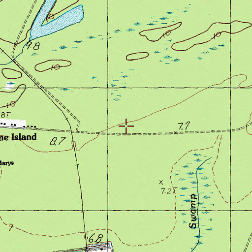 Topographic Map of Pine Island, SC