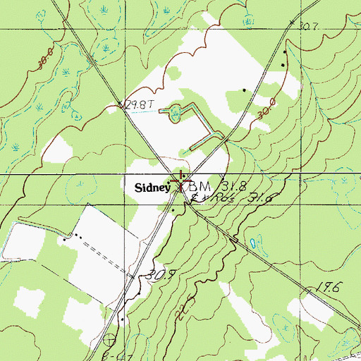 Topographic Map of Sidney, SC