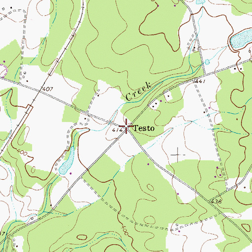 Topographic Map of Testo, SC