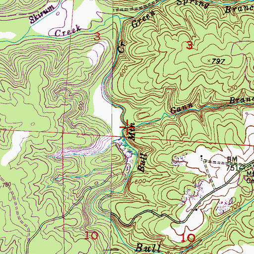 Topographic Map of Mill Gann Branch, AL