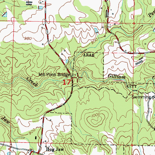 Topographic Map of Mill Pond Bridge, AL