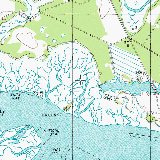 Topographic Map of Ballast Island, SC