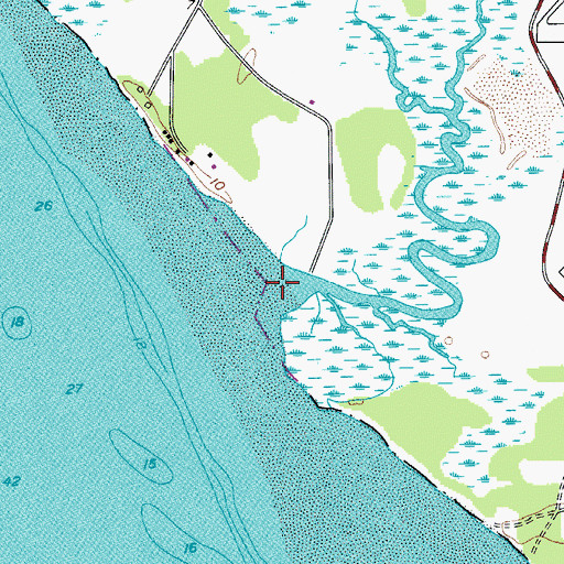 Topographic Map of Whale Branch, SC
