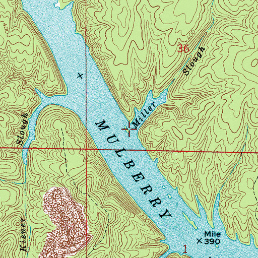 Topographic Map of Miller Slough, AL