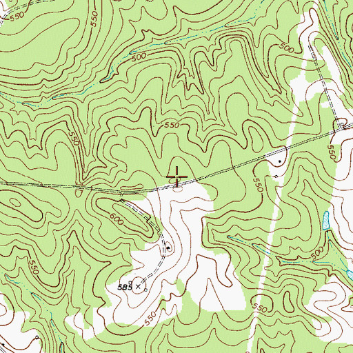 Topographic Map of Brown Chapel (historical), SC