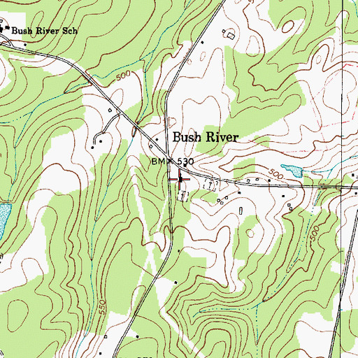 Topographic Map of Bush River Baptist Church, SC